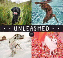 Item #108061 Unleashed. Amanda Jones